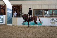 Class 106 HA/AA Hunter Pleasure Championship - Junior Horse
