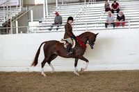 AHANC21_Thurs_2085