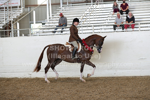 AHANC21_Thurs_2085