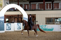 Class 109 HA/AA English Pleasure - JTR 18 & Under
