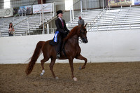 AHANC21_Thurs_2190