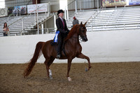 AHANC21_Thurs_2191
