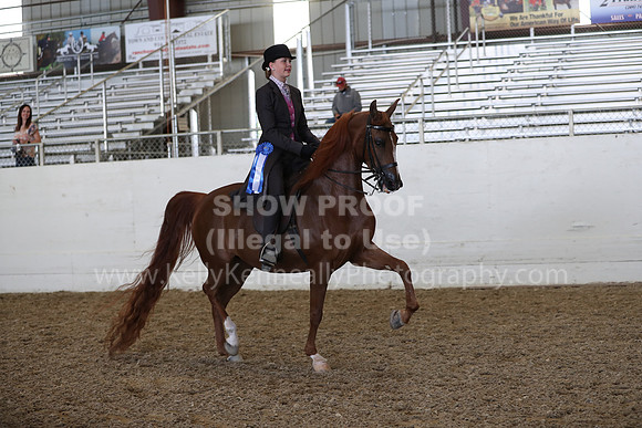AHANC21_Thurs_2191
