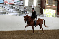 Class 111 HA/AA Hunter Pleasure Championship