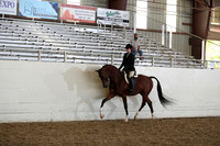 Class 113 HA/AA Hunter Pleasure Championship - AAOTR