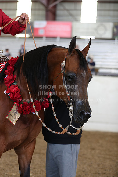 AHANC21_Thurs_2385