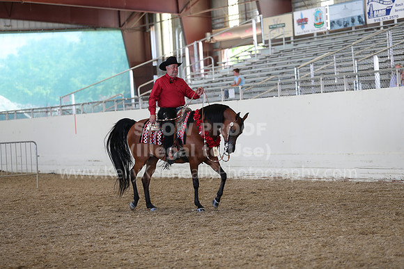 AHANC21_Thurs_2388