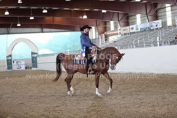 AHANC21_Thurs_2408