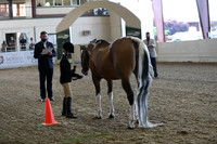 AHANC21_Thurs_2421