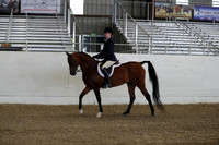 Class 118B Walk/Trot Open