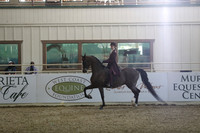 Class 119 HA/AA Country English Pleasure - JOTR 18 & Under