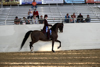 AHANC21_Thurs_2513