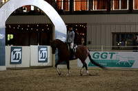 Class 123 Arabian Hunter Pleasure - JTR 14 & Under