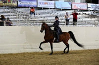 AHANC21_Thurs_2642