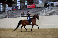 AHANC21_Thurs_2650
