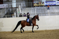 AHANC21_Thurs_2651