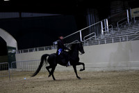 AHANC21_Thurs_2753