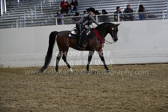 AHANC21_Thurs_2740