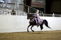 Class 128 HA/AA Mounted Native Costume - ATR
