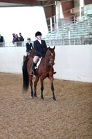Class 136 AHA Hunter Seat Not to Jump Medal Class - 13& Under