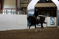 Class 137 AHA Hunter Seat Not to Jump Medal Class - 15-18