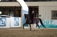 Class 139 HA/AA Country English Pleasure Championship - JTR