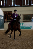 Class 152 HA/AA Country English Pleasure Championship - AATR