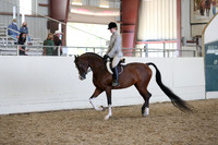 Class 153 HA/AA Hunter Pleasure Championship - JTR 15-18