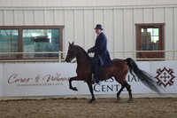 Class 155 Arabian Country English Pleasure Championship - AATR