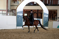 Class 158 Arabian Country English Pleasure Championship - JTR