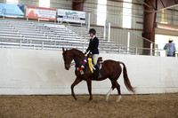 Class 159 HA/AA Hunter Pleasure Championship - JTR 14 & Under