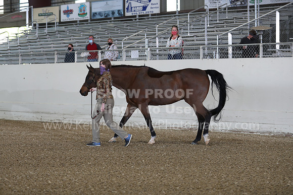 AHANC21_Wed_0941