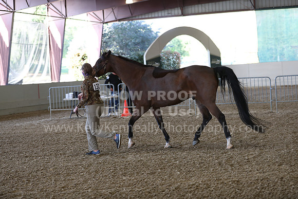 AHANC21_Wed_0968