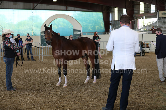 AHANC21_Wed_0973