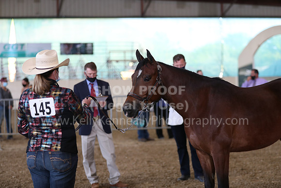 AHANC21_Wed_0977