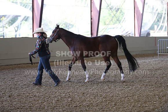 AHANC21_Wed_0981