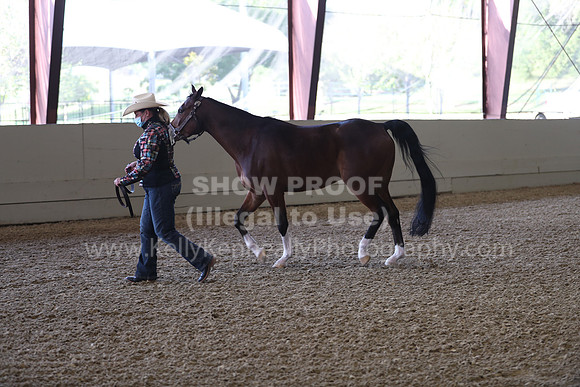 AHANC21_Wed_0982