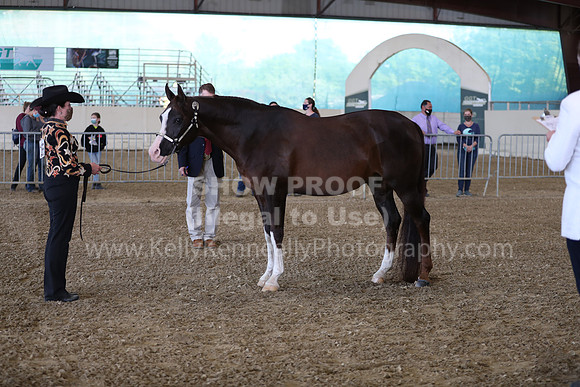 AHANC21_Wed_0989