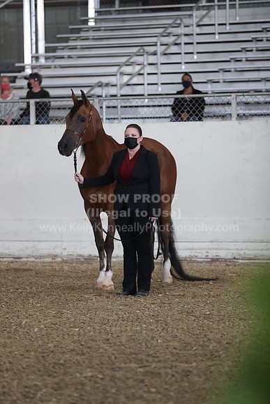 AHANC21_Wed_0993