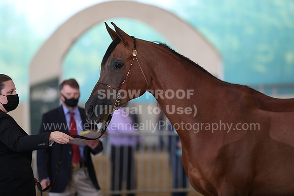 AHANC21_Wed_0999