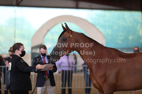 AHANC21_Wed_1000