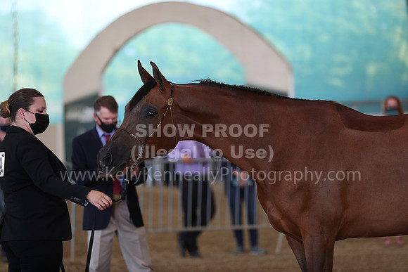 AHANC21_Wed_1002