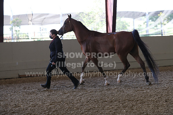 AHANC21_Wed_1005