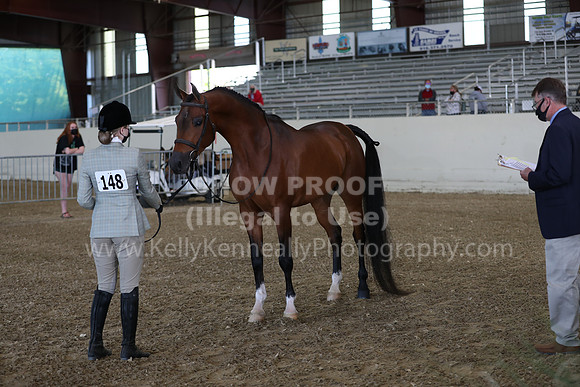 AHANC21_Wed_1006