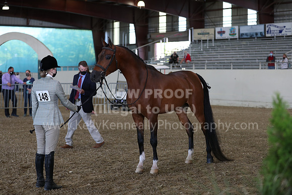 AHANC21_Wed_1009
