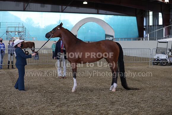 AHANC21_Wed_1029