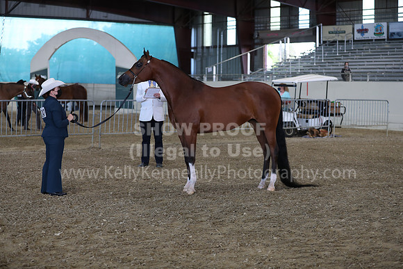 AHANC21_Wed_1031