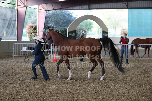 AHANC21_Wed_1034