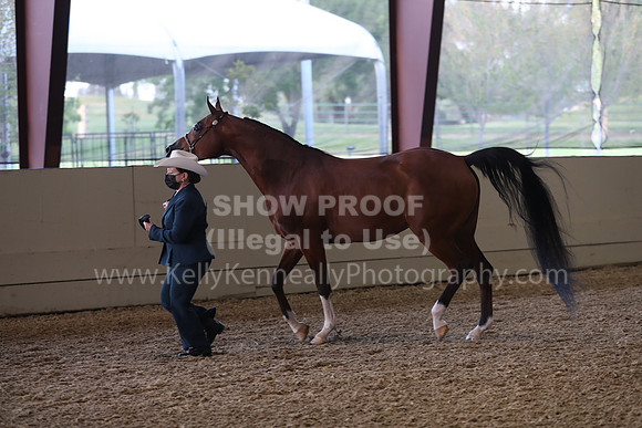 AHANC21_Wed_1035