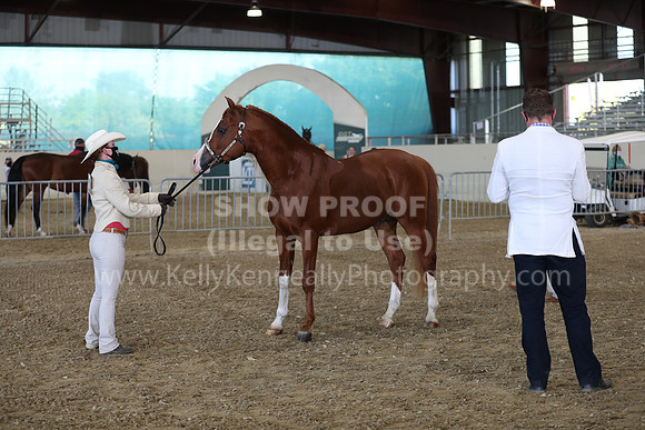 AHANC21_Wed_1046